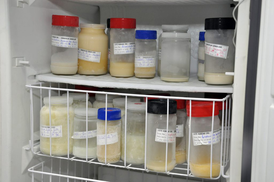 normal_leite11024x682