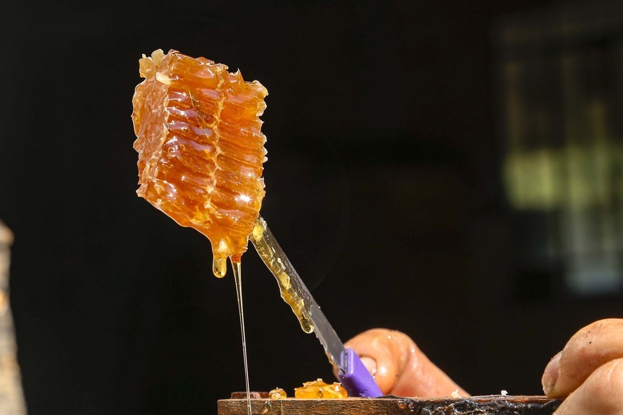 Produção de mel
Ortigueira – Pr
Gilson Abreu/AEN