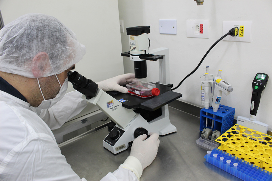 normal_tecpar_Cultivo_celular_2