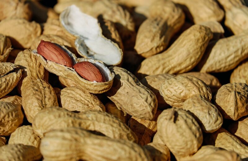 nuts-1736520_1920-e1623873323715