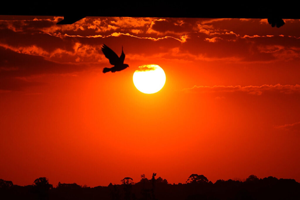 onda-de-calor-parana-curitiba