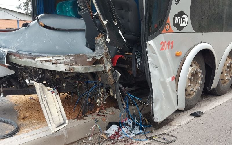 onibus onibus