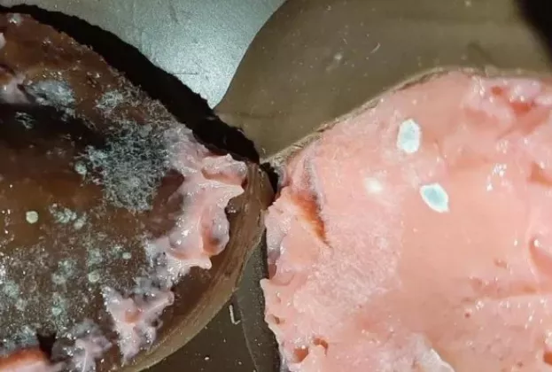 ovo pascoa estragado