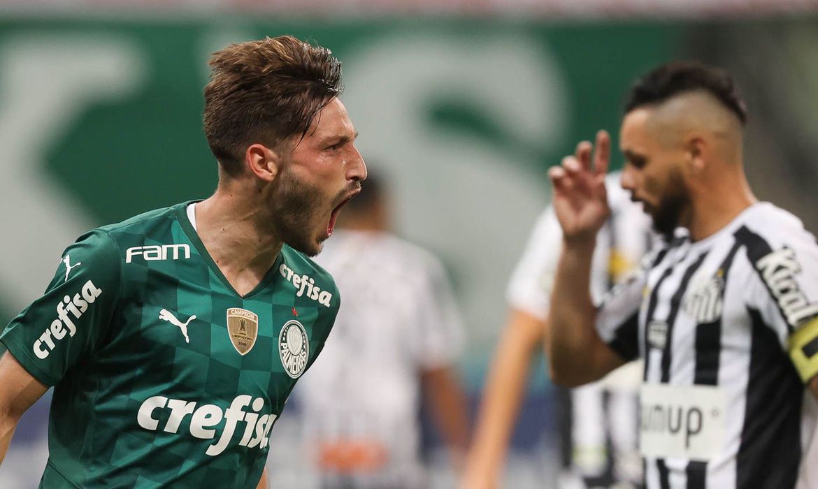 palmeiras-1