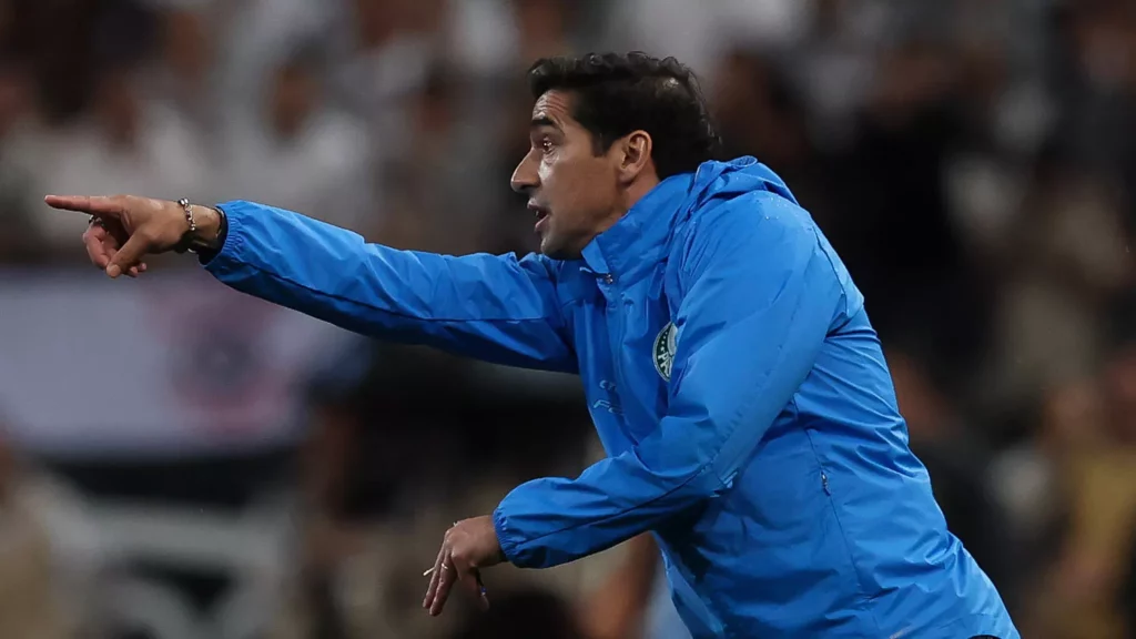 palmeiras palmeiras