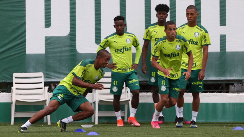 Cesar Greco/Palmeiras