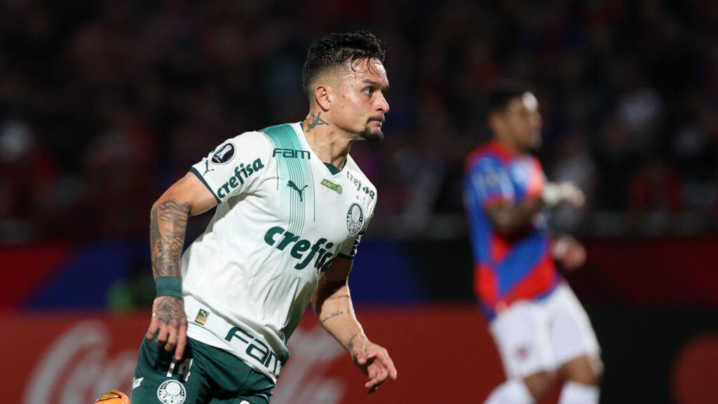 palmeiras-cerro