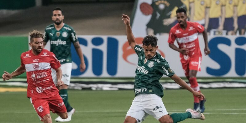 palmeiras-e1623285665362