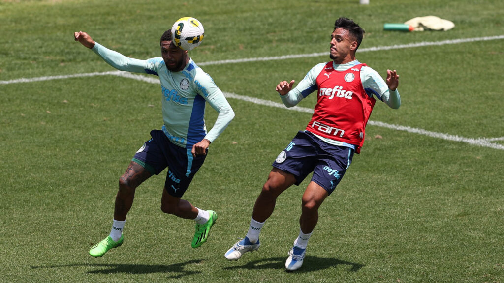 palmeiras-pode-ser-campeao-2