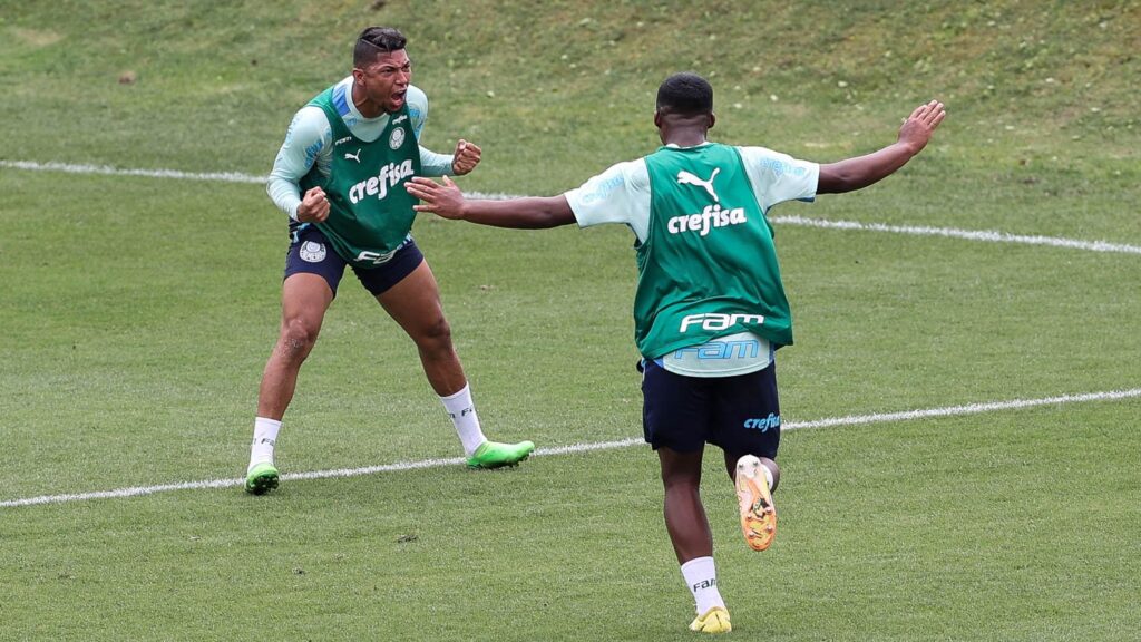 palmeiras-x-avai-pre palmeiras-x-avai-pre
