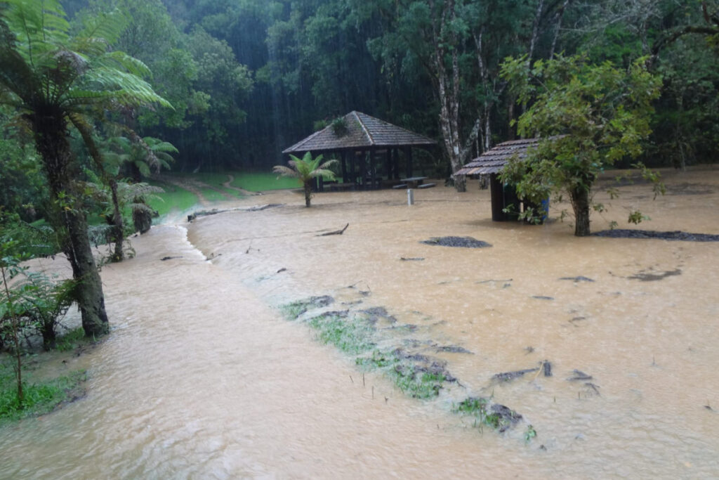 parque-estadual-de-campinhos
