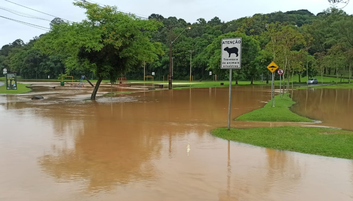 parque-tingui-ponte