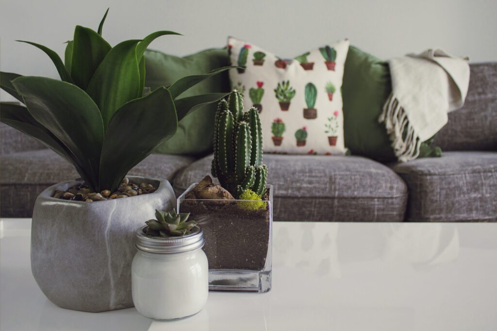 pexels-designecologist-1005058-scaled