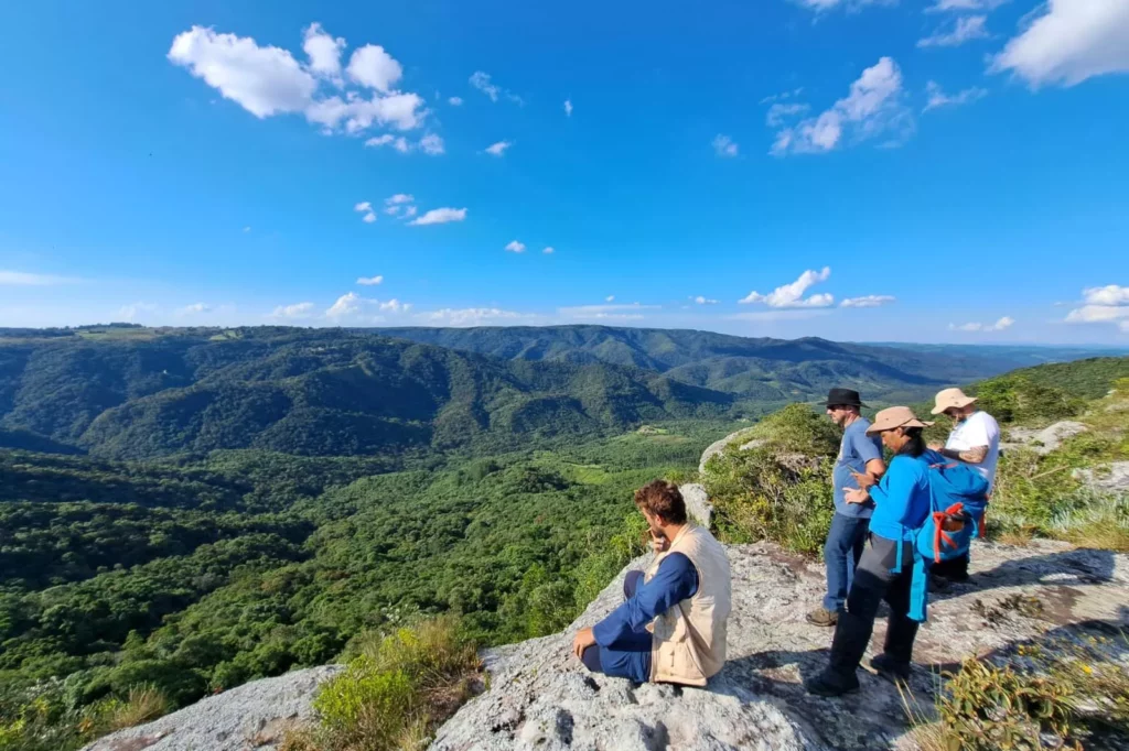 plantas-ameacadas-extincao