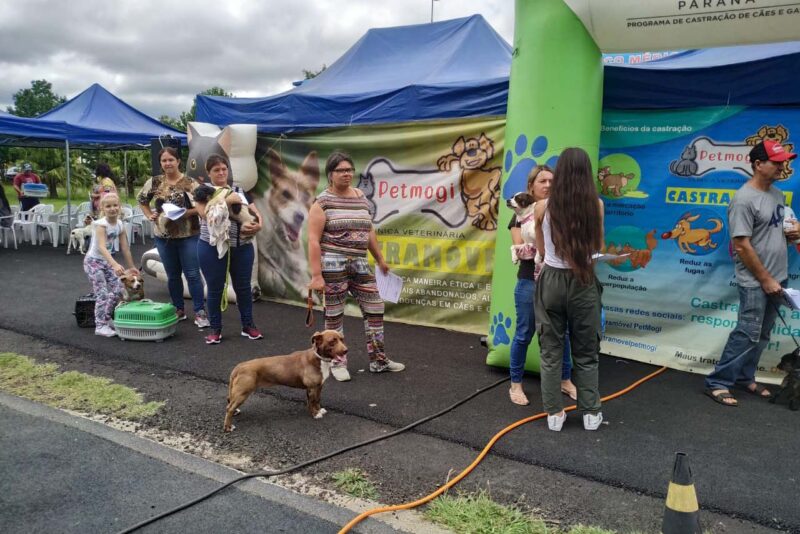 programa-castracao-parana-e1673288881583