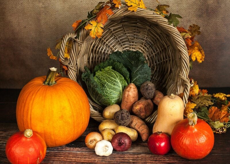 pumpkin-g93ae5c150_1920-e1634582553235