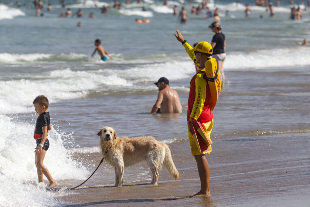 salva_vidas_foto_rdziura-7237-scaled