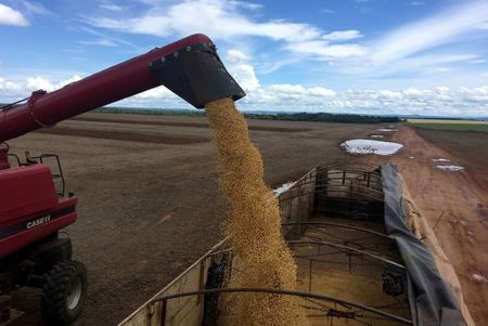 Caminhão é carregado com soja brasileira em fazenda em Porto Nacional, no Tocantins Caminhão é carregado com soja brasileira em fazenda em Porto Nacional, no Tocantins