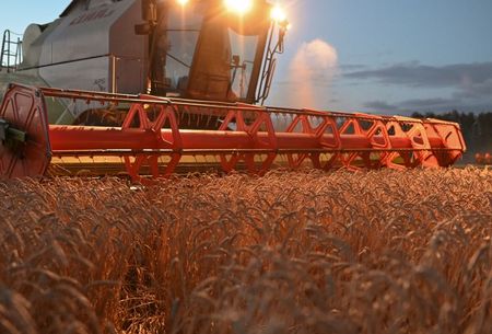 Colheita de trigo na região de Omsk, Rússia Colheita de trigo na região de Omsk, Rússia