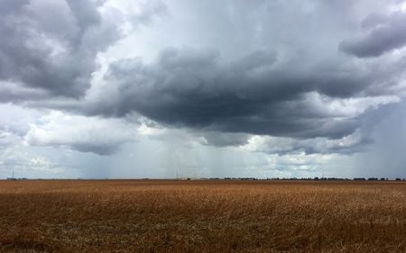 Plantação de soja em São Desidério, na Bahia Plantação de soja em São Desidério, na Bahia