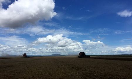 Colheita de soja em uma fazenda em Porto Nacional, no Tocantins Colheita de soja em uma fazenda em Porto Nacional, no Tocantins