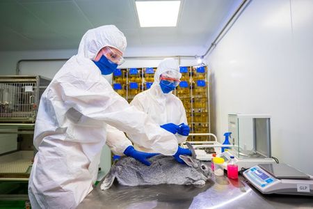 Especialistas durante o desenvolvimento de uma vacina contra a Covid-19 para animais, na Rússia