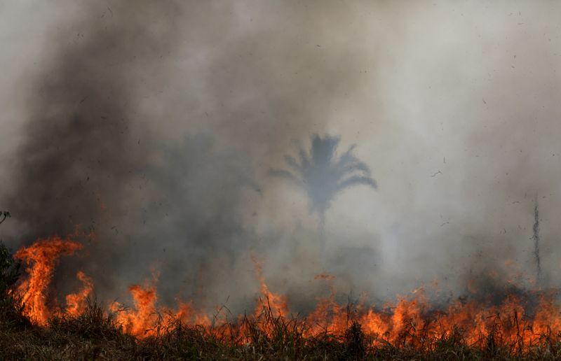 Queimadas na Amazônia Queimadas na Amazônia