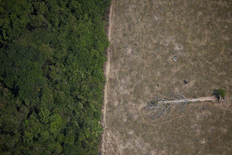 Área desmatada da Amazônia perto de Porto Velho, em Rondônia