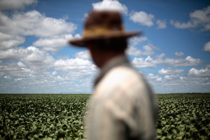 Agricultor observa lavoura de soja em Barreiras (BA)