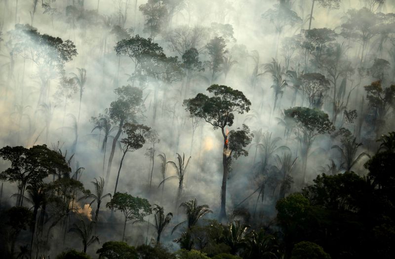 Fumaça de incêndio na Floresta Amazônica perto de Porto Velho