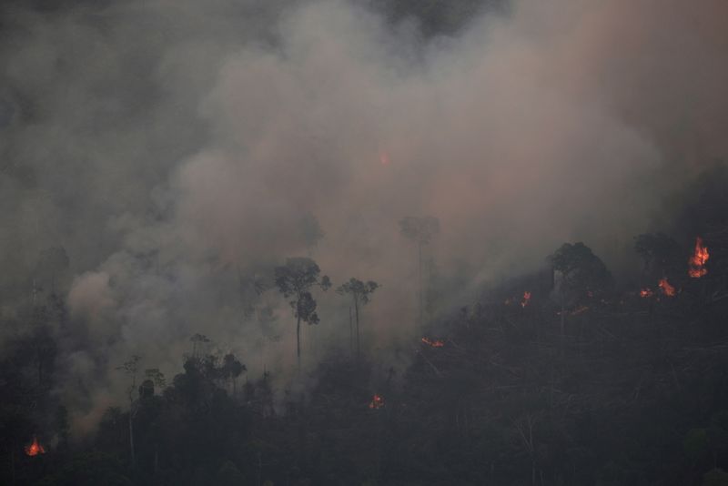 Fogo na floresta amazônica perto de Porto Velho, Rondônia