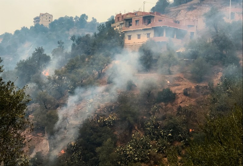 Fumaça proventiente de incêndio florestal na província de Tizi Ouzou