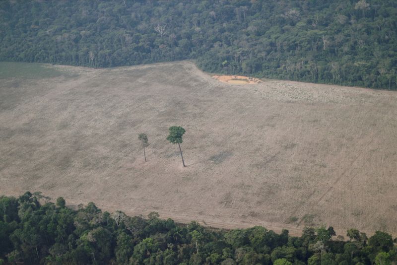 Vista aérea de área desmatada da Amazônia perto de Porto Velho, em Rondônia