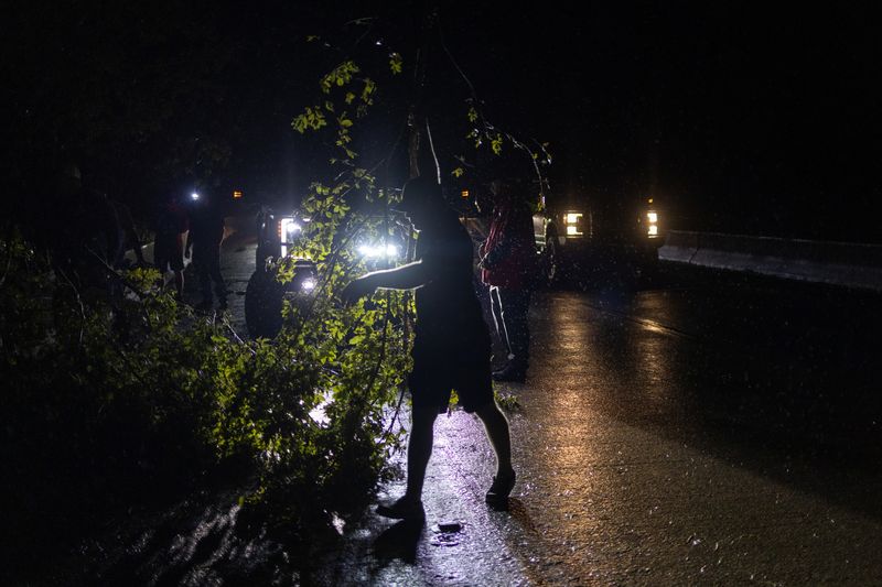 Equipes retiram árvore de rodovia após passagem do furacão Ida em Louisiana