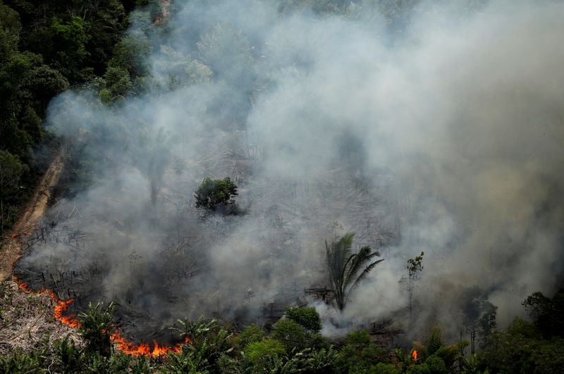 Incêndio em área da floresta amazônica perto de Porto Velho