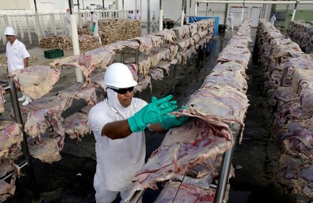 Frigorífico de carne bovina