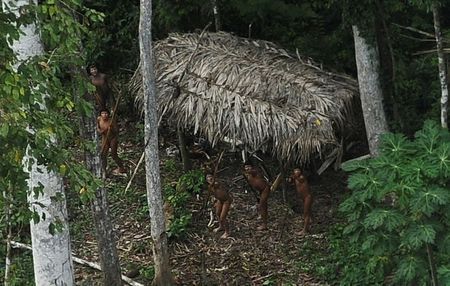 Indígenas isolados reagem a avião sobre sua comunidade na floresta amazônica no Acre