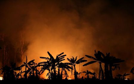 Incêndio na floresta amazônica perto de Porto Velho