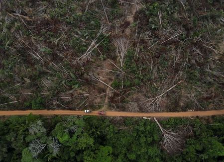 Vista aérea da floresta amazônica brasileira