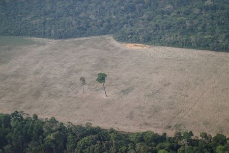 Área desmatada na floresta amazônica perlo de Porto Velho