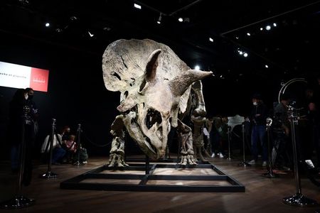 Esqueleto do “Big John” expoto antes de ser leiloado em Paris