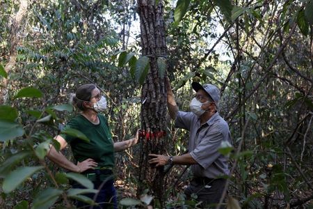 Beatriz Marimon e Ben Hur Marimon conversam durante sua pesquisa na fronteira entre a Amazônia e o Cerrado, em Nova Xavantina