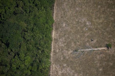 Área desmatada da Amazônia perto de Porto Velho, em Rondônia