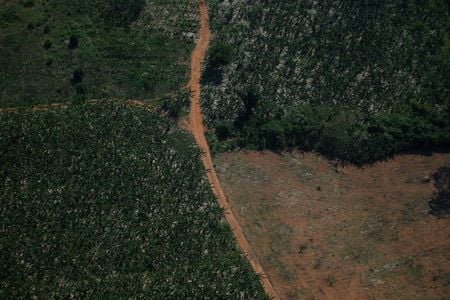 Vista aérea de região desmatada da Amazônia em Rondônia