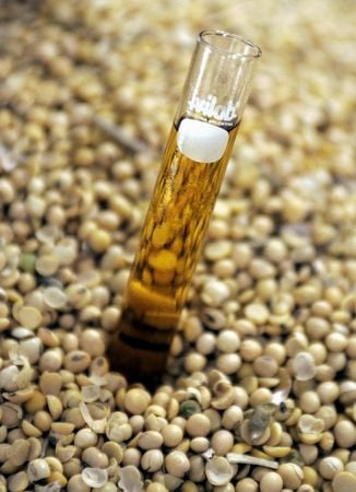 Amostra de biodiesel à base de óleo de soja em Chacabuco, Argentina