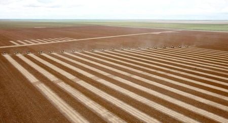 Plantação de soja na Bahia