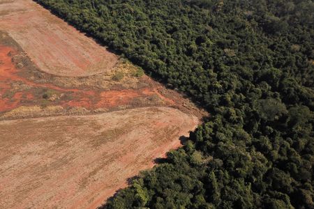 Vista aérea de área desmatada da Amazônia no Mato Grosso