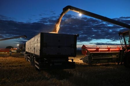 Colheita de trigo na região de Omsk, Rússia