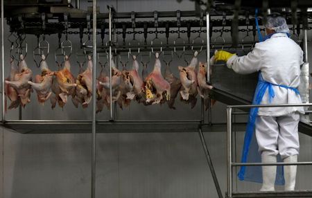 Produção de carne de frango em frigorífico em Itatinga (SP)