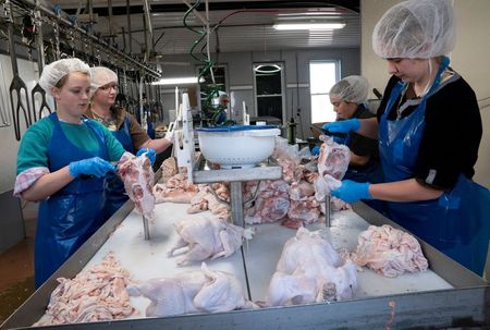 Processadora de carne de frango em Ohio, no EUA